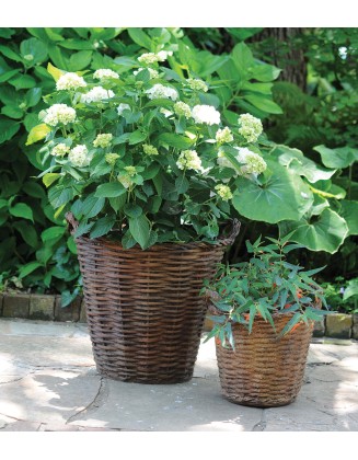 Outdoor Baskets