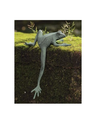 Climbing Frog