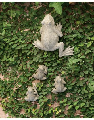 Mother Frog and Babies (Set of Four)