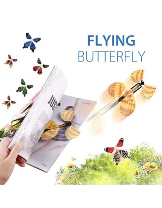 The Magic Flying Butterfly