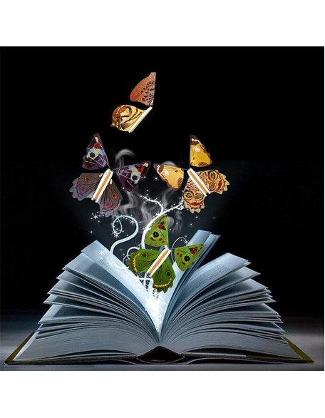 The Magic Flying Butterfly