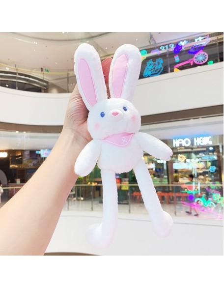 Pull The Rabbit